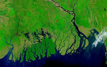 A new NSF Coastal SEES award addresses sustainability of the Ganges-Brahmaputra Delta.